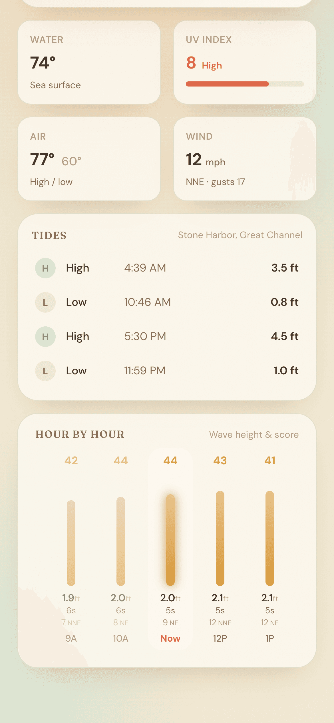 Surf score